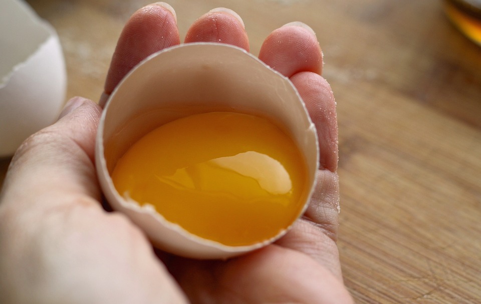 egg-1467336_960_720 Egg Yolks