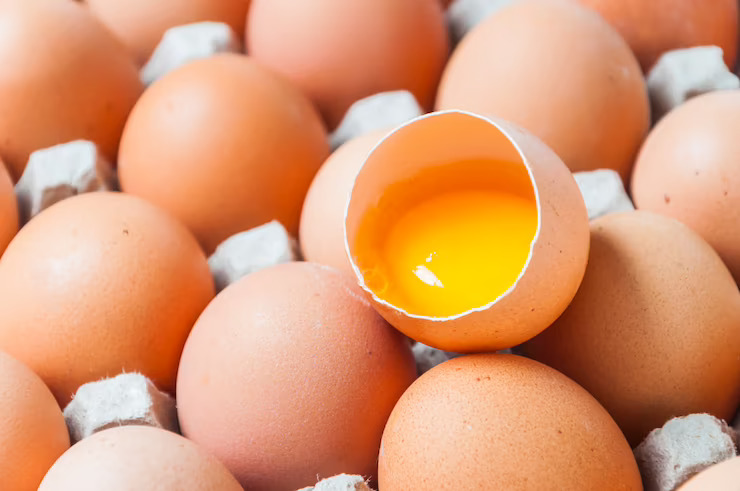 Egg Intolerance